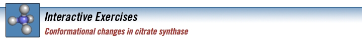 citrate_synthase_banner.jpg