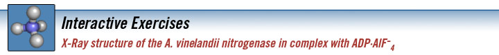 nitrogenase_banner.jpg