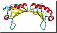 tata_binding_protein.jpg
