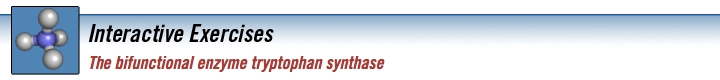 tryptophan_synthase_banner.jpg