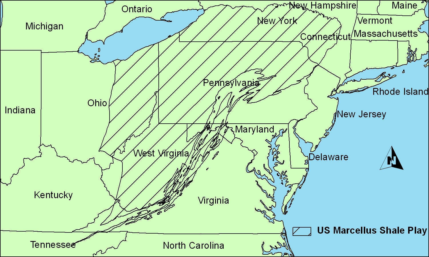 Environmental Studies Capstone Swarthmore College