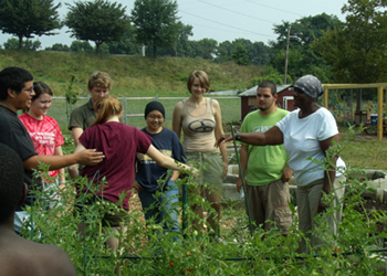 Chester Community Fellows