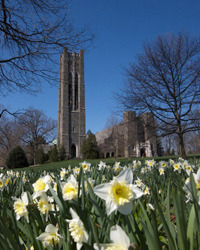 Clothier Bell Tower