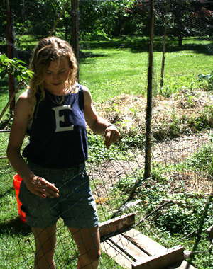 The Good Food Project