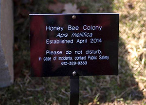 Bee Sign