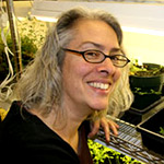 Jeanne Harris '86