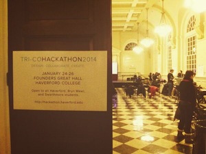 First Collection 2013