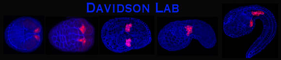 The Davidson Lab at Swarthmore College