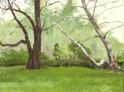 A painting of the Crum Woods.