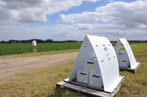 Ashish Malik '84 in a field of crops next to boxes houses BVT's biocontrol powder.