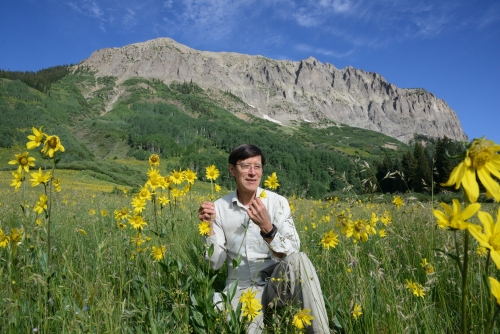 David Inouye '71 in a field of wildflowers in Colorado.