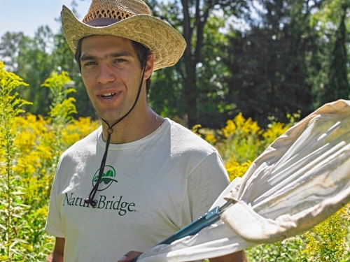 Michael Roswell in a field holding a bee net