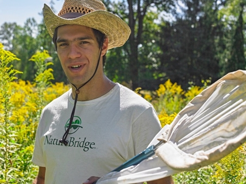 Michael Roswell in a field holding a bee net