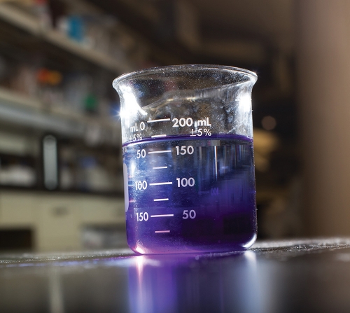 Beaker full of purplish liquid in a lab