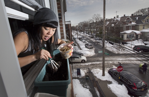 Rebecca Louie ’99 tending to her composting, leaning out the window so you can see the snowy NYC streets below