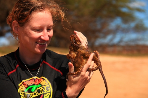 Heather Ylitalo-Ward ’06 holds a small octopus out of the water