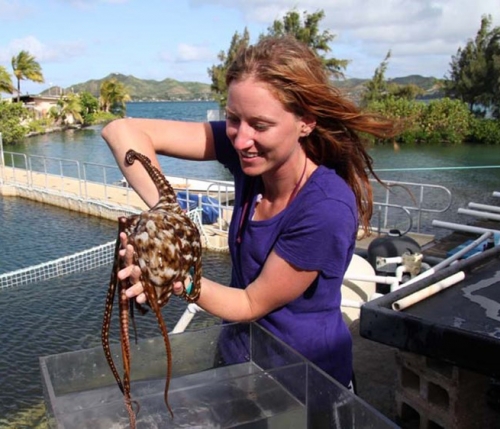 Heather Ylitalo-Ward ’06 cradles an octopus. 