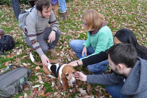 Students crouch around a basset hound while petting him.