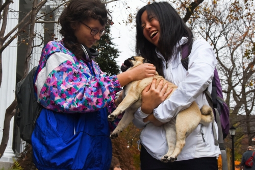 Two swarthmore students give love to a fawn-colored pug.