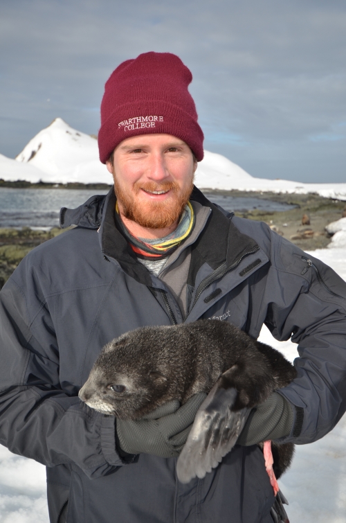 Wiley Archibald ’10 holds a seal pup in Antarctica