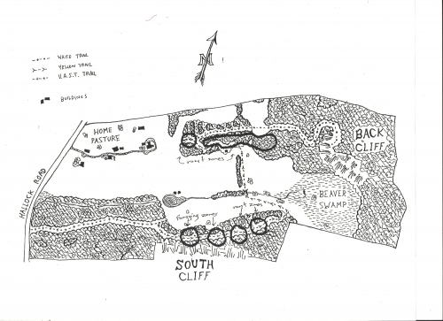 A map drawn by Ethan Mitchell ’99 of Treleven