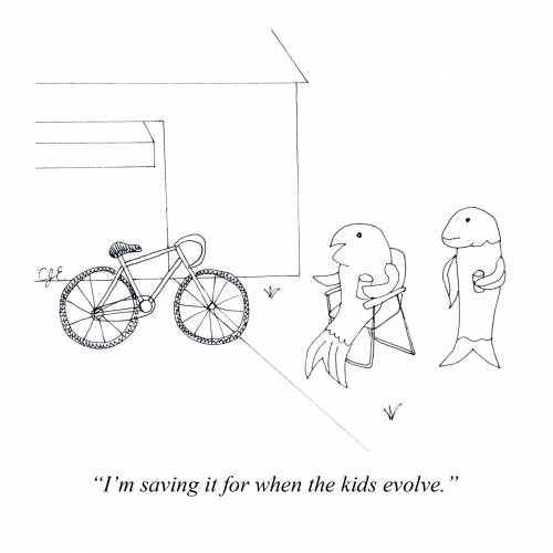 A drawing of two fish with a bicycle with the caption "I'm saving it for when the kids evolve."