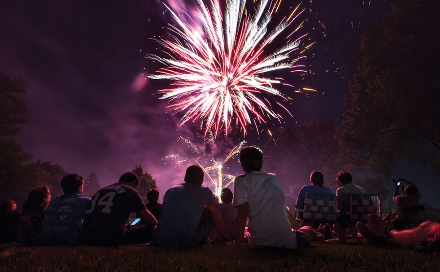 Pink and purple fireworks illuminate the sky 