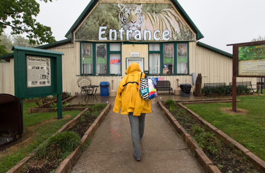 Woman walks in rain toward building. 