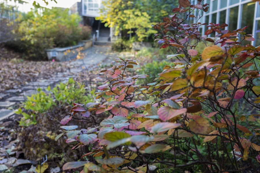 Swarthmore landscaping