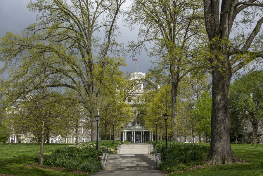 trees and Parrish building 