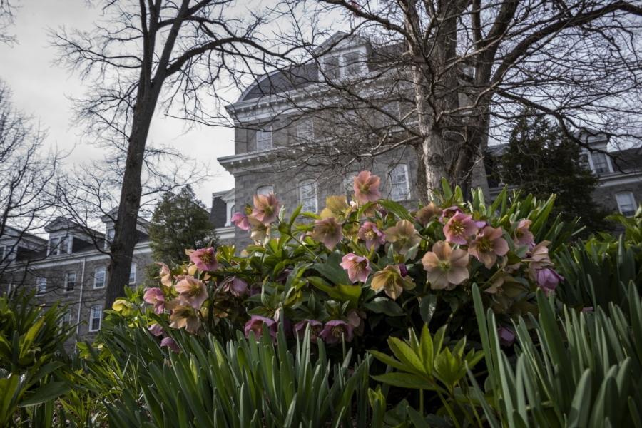 picture of Parrish Hall with flowers in front