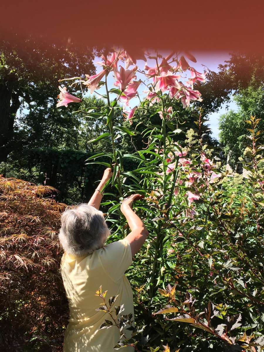 a volunteer collects flowers for her arrangement