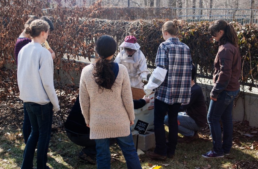 Students gather around a beekeeping professor