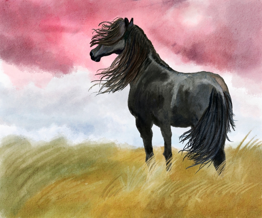 watercolor of a black horse