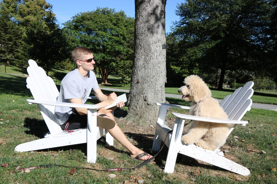 student sitting in a chair "interviews" a poodle sitting in an opposite chair