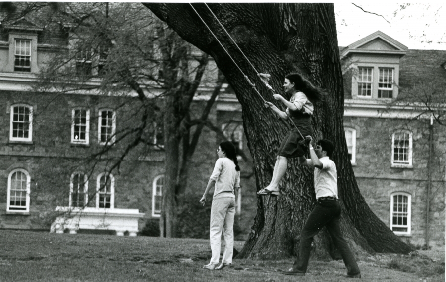 people on a tree swing 