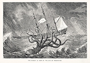 illustration of kraken