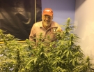 Niley Dorit behind marijuana plants