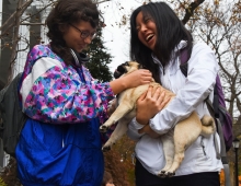Two swarthmore students give love to a fawn-colored pug.