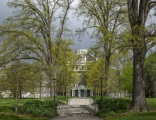 trees and Parrish building 