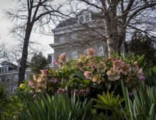 picture of Parrish Hall with flowers in front