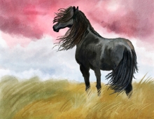 watercolor of a black horse