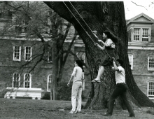 people on a tree swing 