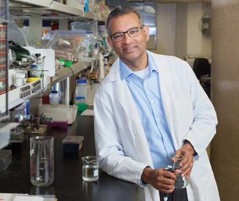 Vishu Lingappa ’75 in his lab.