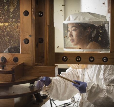 Rebecca Zhou in a bee suit shot through an observation hive