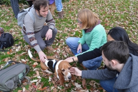 Students crouch around a basset hound while petting him.