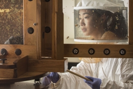 Rebecca Zhou in a bee suit shot through an observation hive