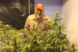 Niley Dorit behind marijuana plants