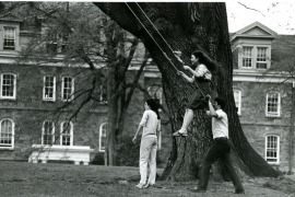 people on a tree swing 