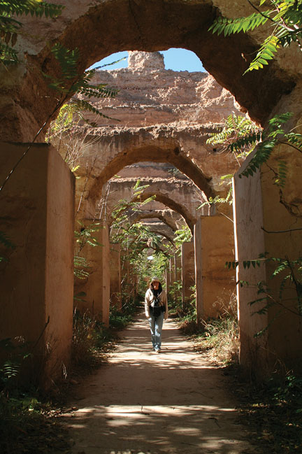 meknes_horse_stables1.jpg